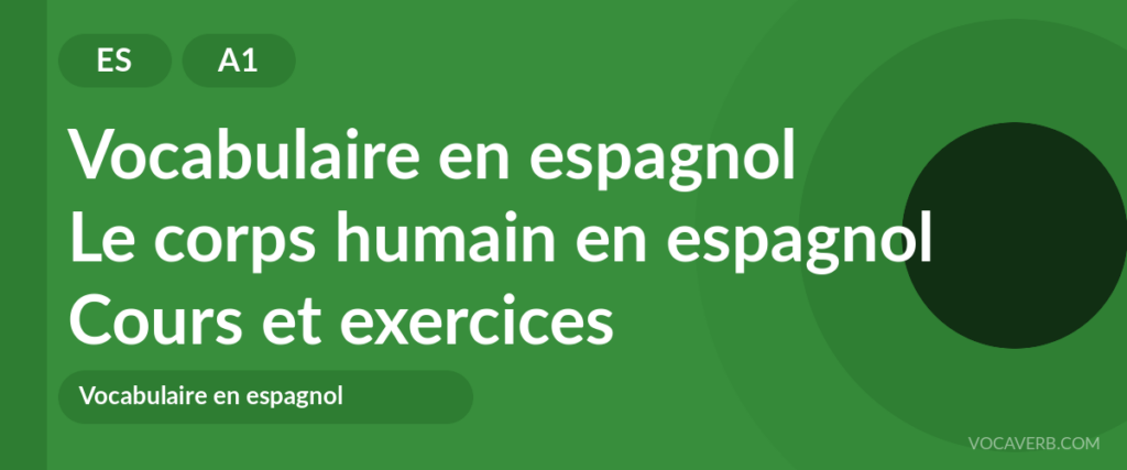 Le corps humain en espagnol