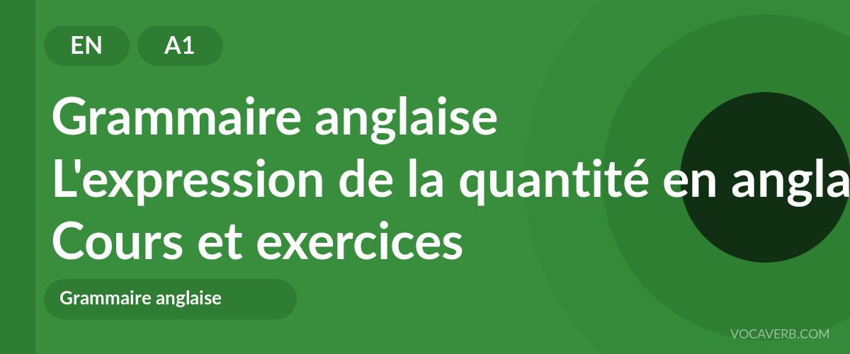L'expression de la quantité en anglais [A1] — VocaVerb