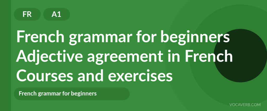 Adjective agreement in French