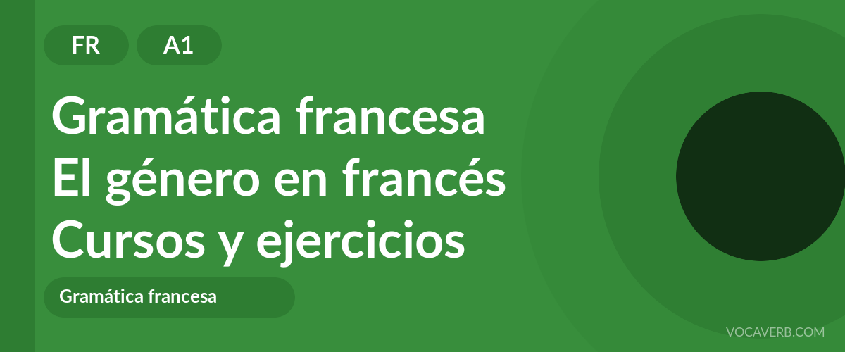 El género en francés [A1] — VocaVerb