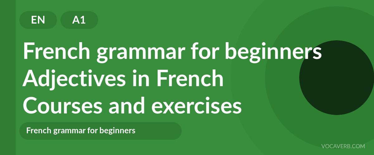 Adjectives in French [A1] — VocaVerb