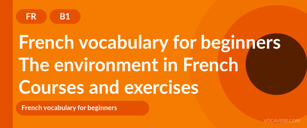 The environment in French