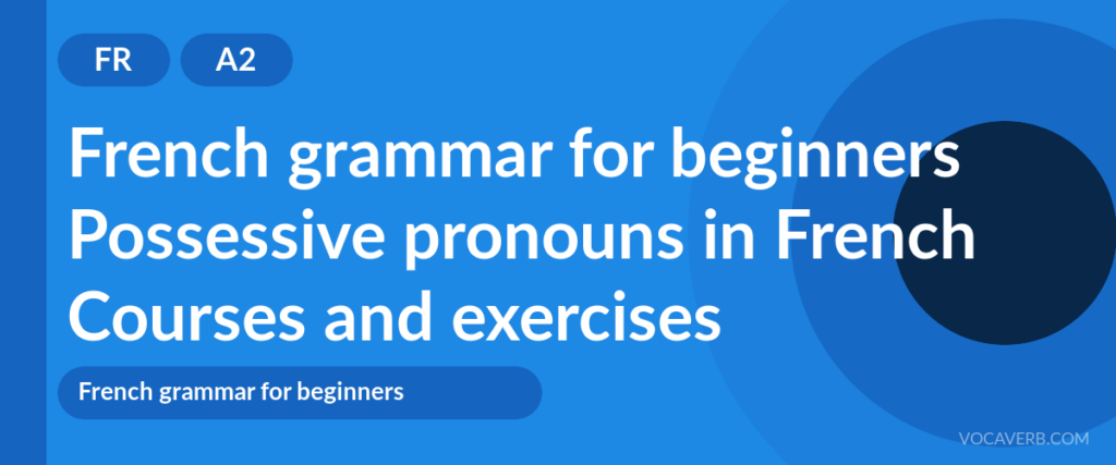 Possessive pronouns in French