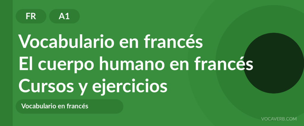 El cuerpo humano en francés