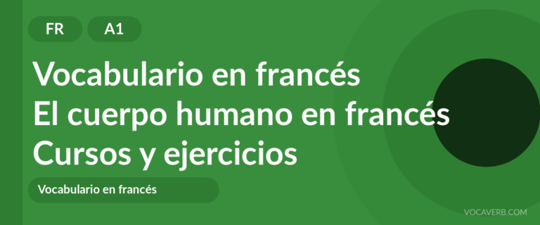 El cuerpo humano en francés [A1] — VocaVerb