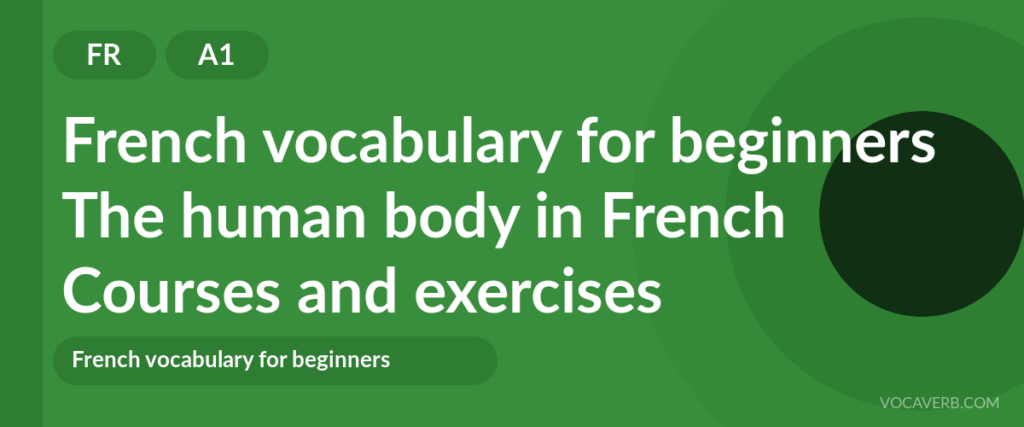 The human body in French