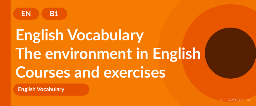 The environment in English
