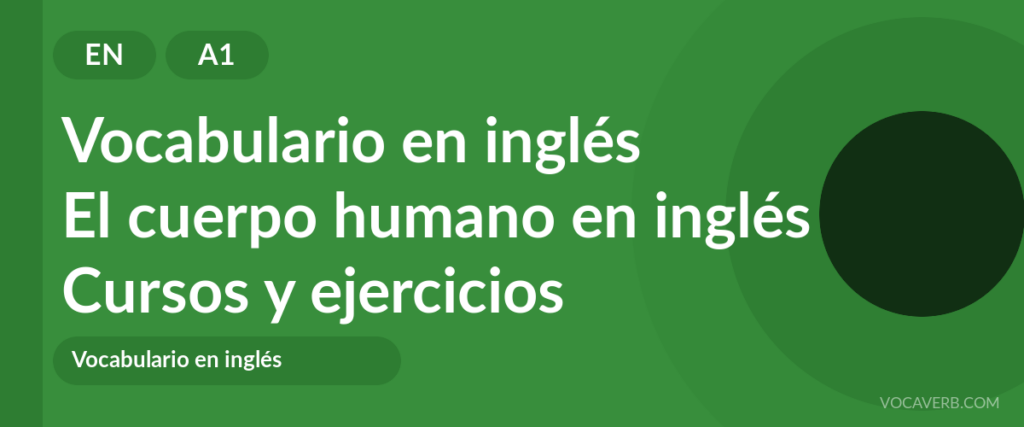 El cuerpo humano en inglés