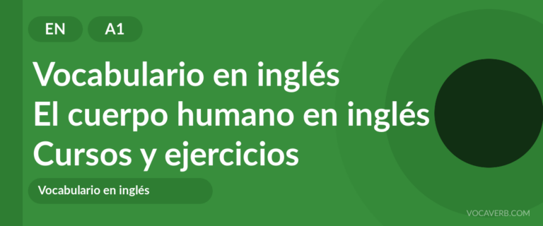 El cuerpo humano en inglés [A1] — VocaVerb