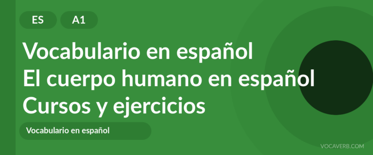 El cuerpo humano en español [A1] — VocaVerb