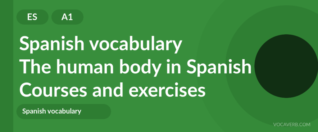 The human body in Spanish