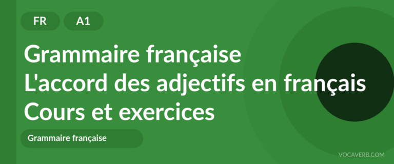L'accord des adjectifs en français [A1] — VocaVerb