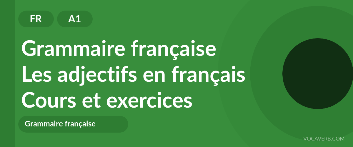 Les adjectifs en français [A1] — VocaVerb