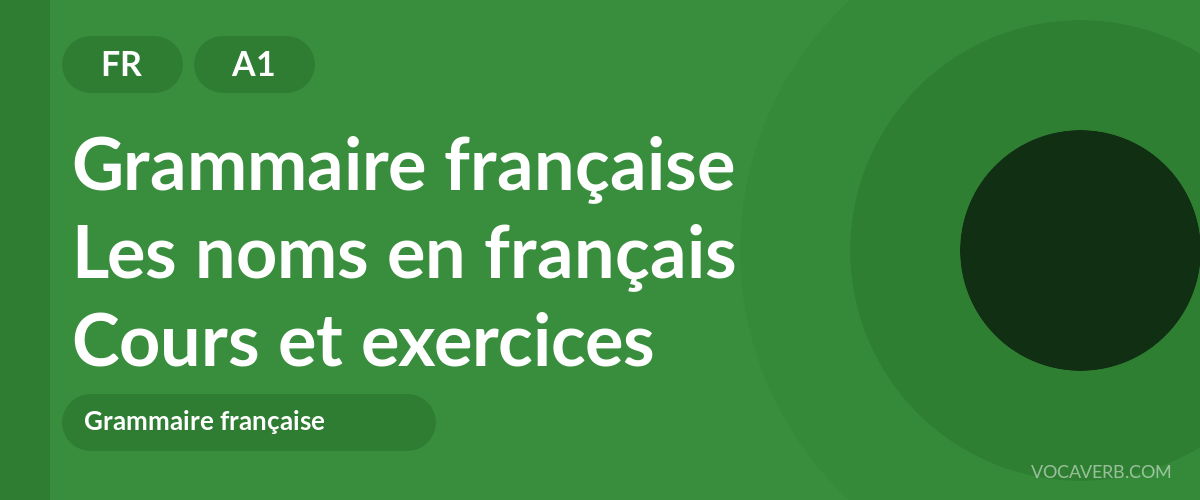 Les noms en français [A1] — VocaVerb