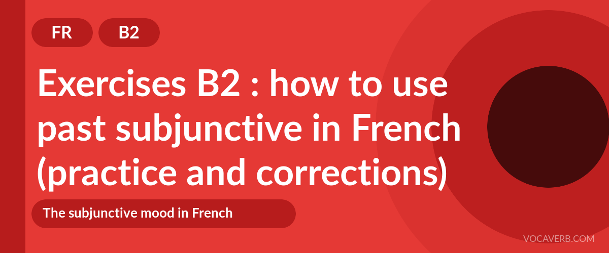 Exercises B2 : how to use past subjunctive in French (practice and corrections) [B2]