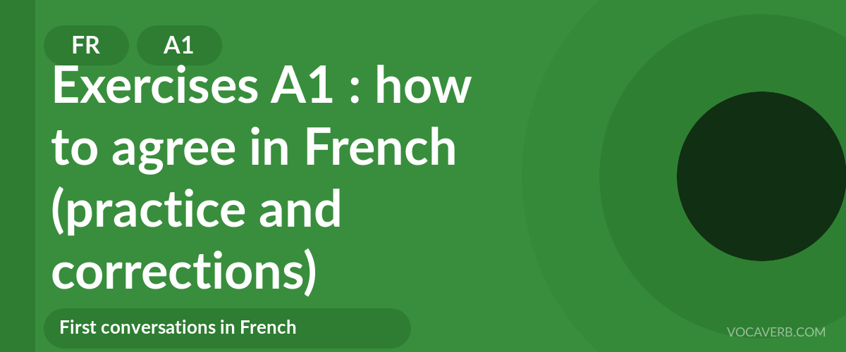 Exercises A1 : how to agree in French (practice and corrections) [A1]