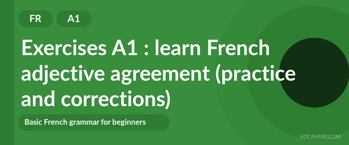 Exercises A1 : learn French adjective agreement (practice and corrections) [A1]
