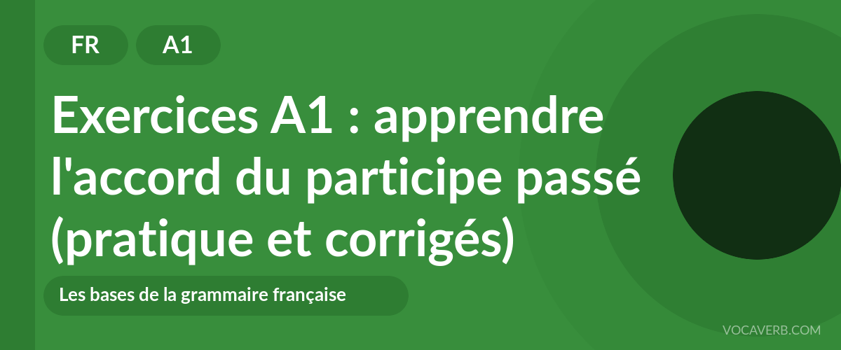 Exercices A1 : apprendre l'accord du participe passé (pratique et corrigés) [A1]