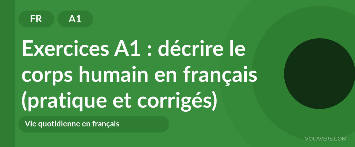 Exercices A1 : décrire le corps humain en français (pratique et corrigés) [A1]