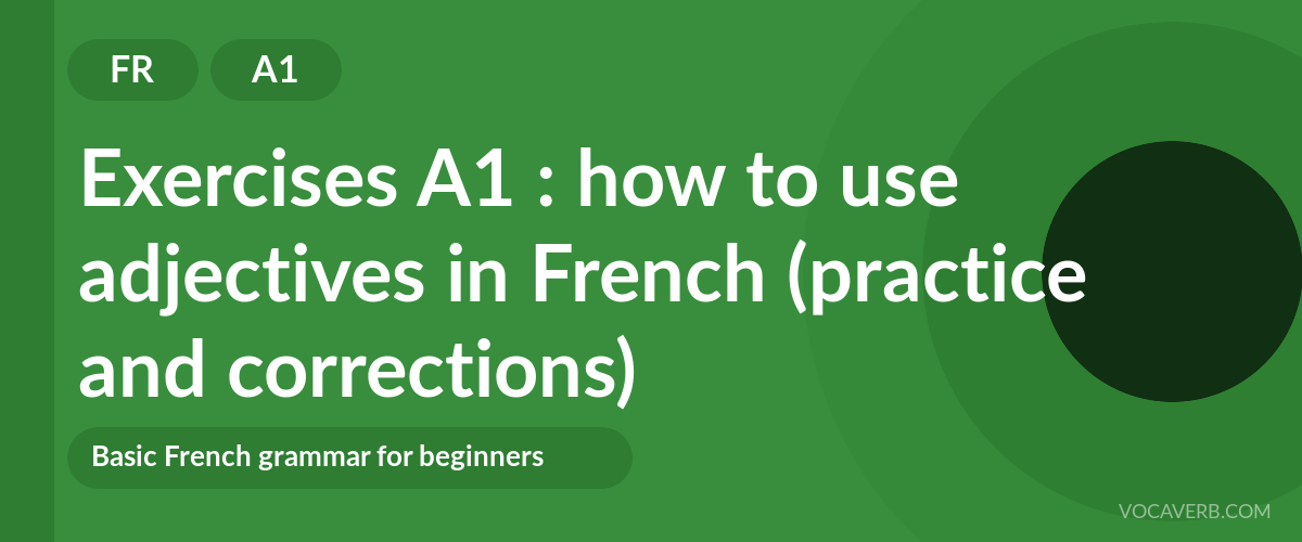 Exercises A1 : how to use adjectives in French (practice and corrections) [A1]