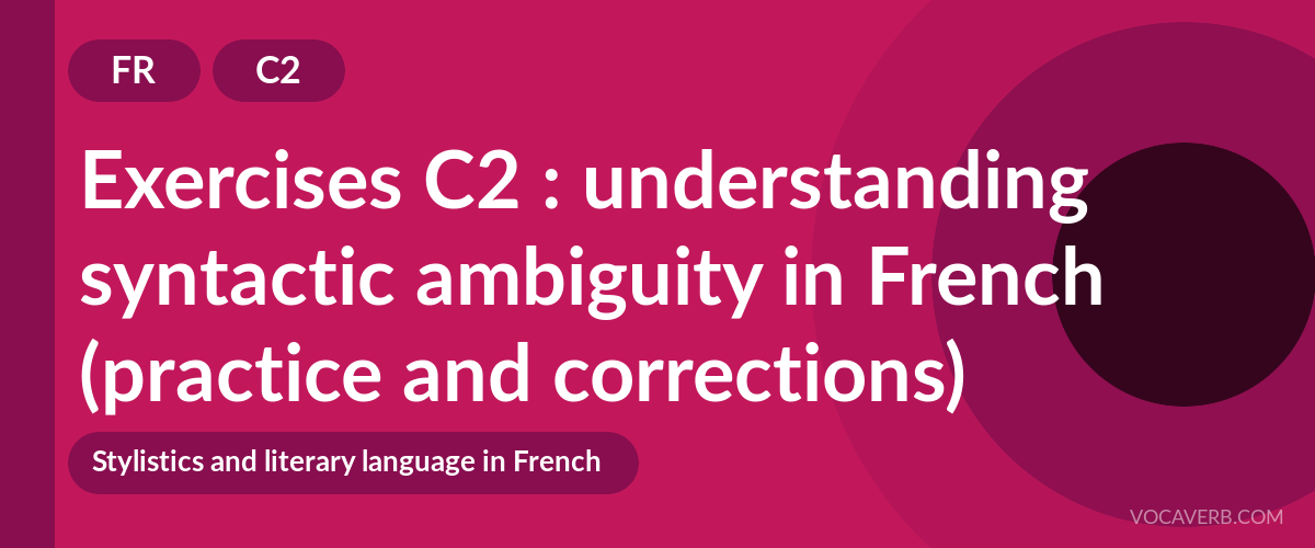 Exercises C2 : understanding syntactic ambiguity in French (practice and corrections) [C2]