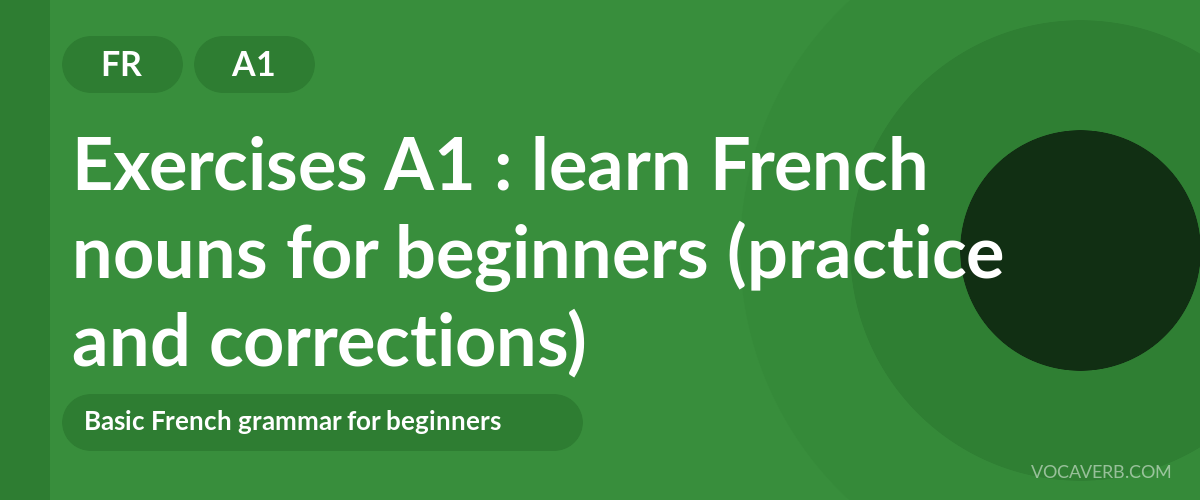 Exercises A1 : learn French nouns for beginners (practice and corrections) [A1]
