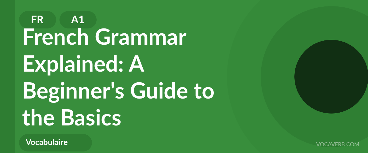 French Grammar Explained: A Beginner's Guide to the Basics - FR - A1